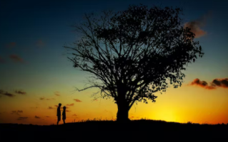 5月21号结婚订婚日子好不好 可以领证吗