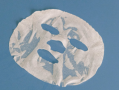 面膜敷好了以后需要洗掉吗？可以不洗吗？