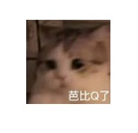 芭比q了是什么意思(芭比q了哪来的梗)-第2张图片 芭比q了是什么意思(芭比q了哪来的梗)-第2张图片